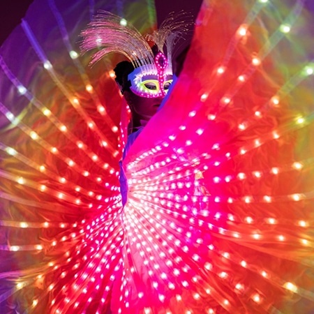 LED Butterfly Dance